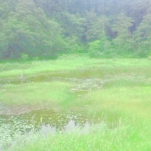 Far Eastern Meditation